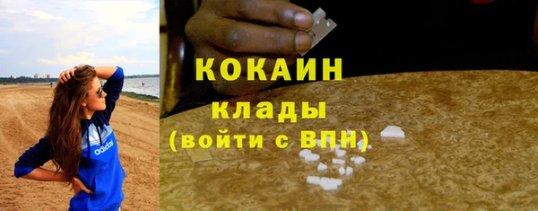 ГАЛЛЮЦИНОГЕННЫЕ ГРИБЫ Вязники