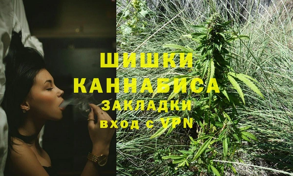 трава Белокуриха