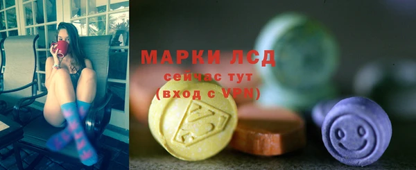 трава Белокуриха
