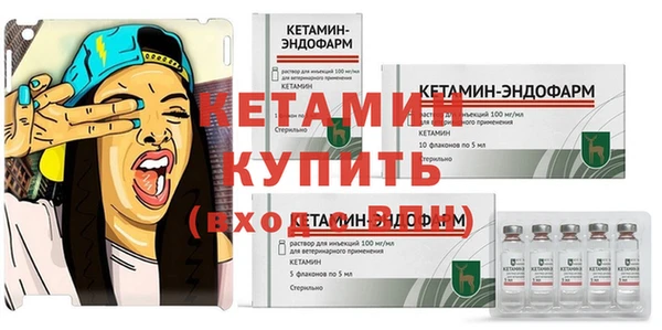 трава Белокуриха