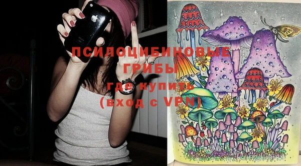 трава Белокуриха