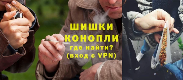 трава Белокуриха
