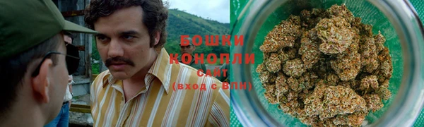 трава Белокуриха