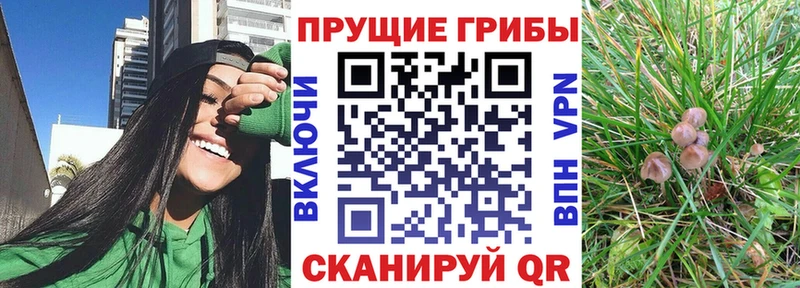 Галлюциногенные грибы Magic Shrooms  Курильск 